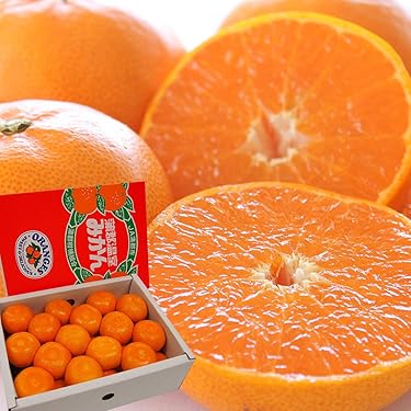 Amazon.co.jp 人気ギフトランキング: みかん・柑橘類 で、ギフト